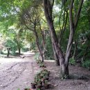 숲이랑농원 이미지