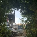 지에스25 서빙고로점 이미지