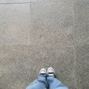 제주스쿠터한라하이킹 | 제주 뚜벅이 여행 : 제주도 스쿠터 대여 한라하이킹 내돈내산 후기(첫운전..성공적..)