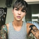 스텔라이 이미지