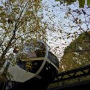 용인자연휴양림 이미지