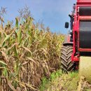 미래축산 이미지