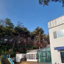 베베부부 | 경주 신축 키즈풀빌라 위드베베 독채 미온수 후기