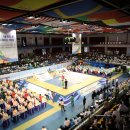 세계태권도 이미지