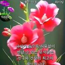 7/18,목요일-행복편지- 이미지