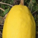 창원농장2 이미지