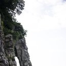 배창 이미지
