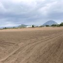 대정읍 상모1리사무소 이미지