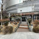 벅스앤탐 | 노원 탐앤탐스 디저트 허니버터브레드 맛집