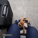 1 year ago 이미지