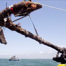 (주)블랙비어드 이미지