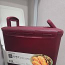 둔 | 미닉스 김치냉장고 내돈내산 (펜트리에 둔 후기)