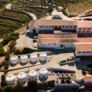 주정농장 | 포트와인, 콥케 10년 타우니 포트 시음 후기 3만원대 포트와인 추천