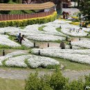 산청전통한방휴양관광지 이미지