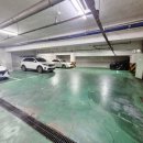 야옹아 멍멍해봐 뷰티 이미지