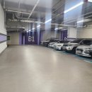 UR(오산시)-[수목원로]-상-17 | 오산 병점 통증관리 마사지 / 비에스테라피 몸다스림센터 후기