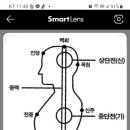 자연숨결명상호흡＜중맥 수련＞ 이미지