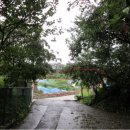 용인보건당약국 이미지