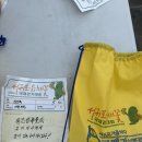 꽃기운 | [제주 유채꽃축제]2026 봄기운 가득한 자연 속 트레킹 후기🌼