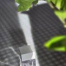 화이트오 | [향수] 봄에는 봄꽃향기를💟 '엘리자베스아덴 화이트티 오 라일락' 시향 후기🌼