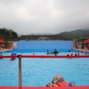 강화도산들애농원 캠핑장 이미지