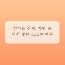 휴식펜션 네이버블로그