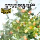 신사천성 이미지