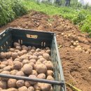 안줄농장 이미지