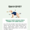 도촌동물병원 이미지