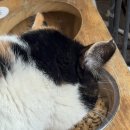 율전로107번길 이미지