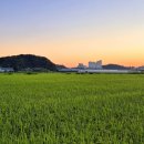 일락사입구 주차장 이미지