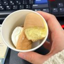 호호네미니호텔 | 25.11/3-4w