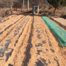 호성농장 이미지