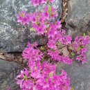 단양읍사무소 이미지