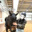 승마장 | 승마레슨후기 | 안산승마장 [ 에이스승마랜드 ]