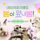 수목플라워