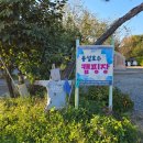 용설 | 잔잔한 호수뷰로 힐링 가득한 안성 [용설호수 캠핑장] 4번 후기