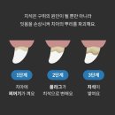 씨유덴탈 | 닥터맘마 덴스틱 반려견 덴탈껌 체험단 후기