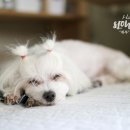 깍고밀고이발 이미지