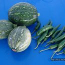 인영농장 이미지