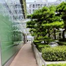 여의샛강마을도서관 | 서울 아이와가볼만한곳 여의도 여의샛강도서관 북카페 방문후기 운영시간