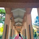 여기조아호텔 | 서울 5성급 호텔 추천, 메이필드 포토스팟 수영장 조식 내돈내산 후기