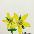 숙명여자대학교 라이프스타일디자인대학원 이미지