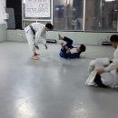 팀 매드 이미지