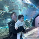 6488 | 괴산 충북아쿠아리움 &amp; 곤충박물관 솔직 방문후기 🐟🦋아이랑 가볼만한 곳일까?