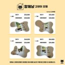 자연과건강북수원점 | 수원 고양이 미용 잘하는 곳 함께냥 북수원점 내돈내산 후기