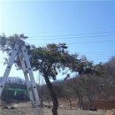 음지농장 이미지