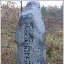 보령토굴젓갈