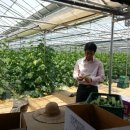 선기농장 이미지