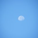 낮달 - 울주군 구영로 216-3 | 낮달